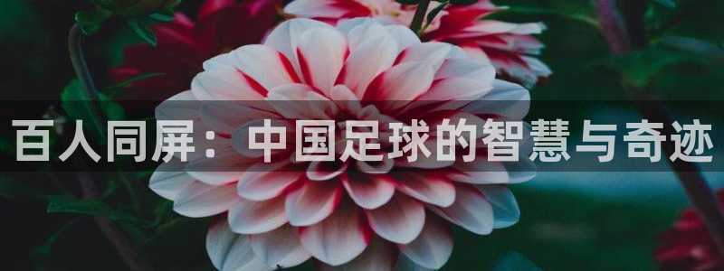百人同屏：中国足球的智慧与奇迹