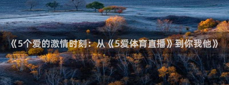 《5个爱的激情时刻：从《5爱体育直播》到你我他》